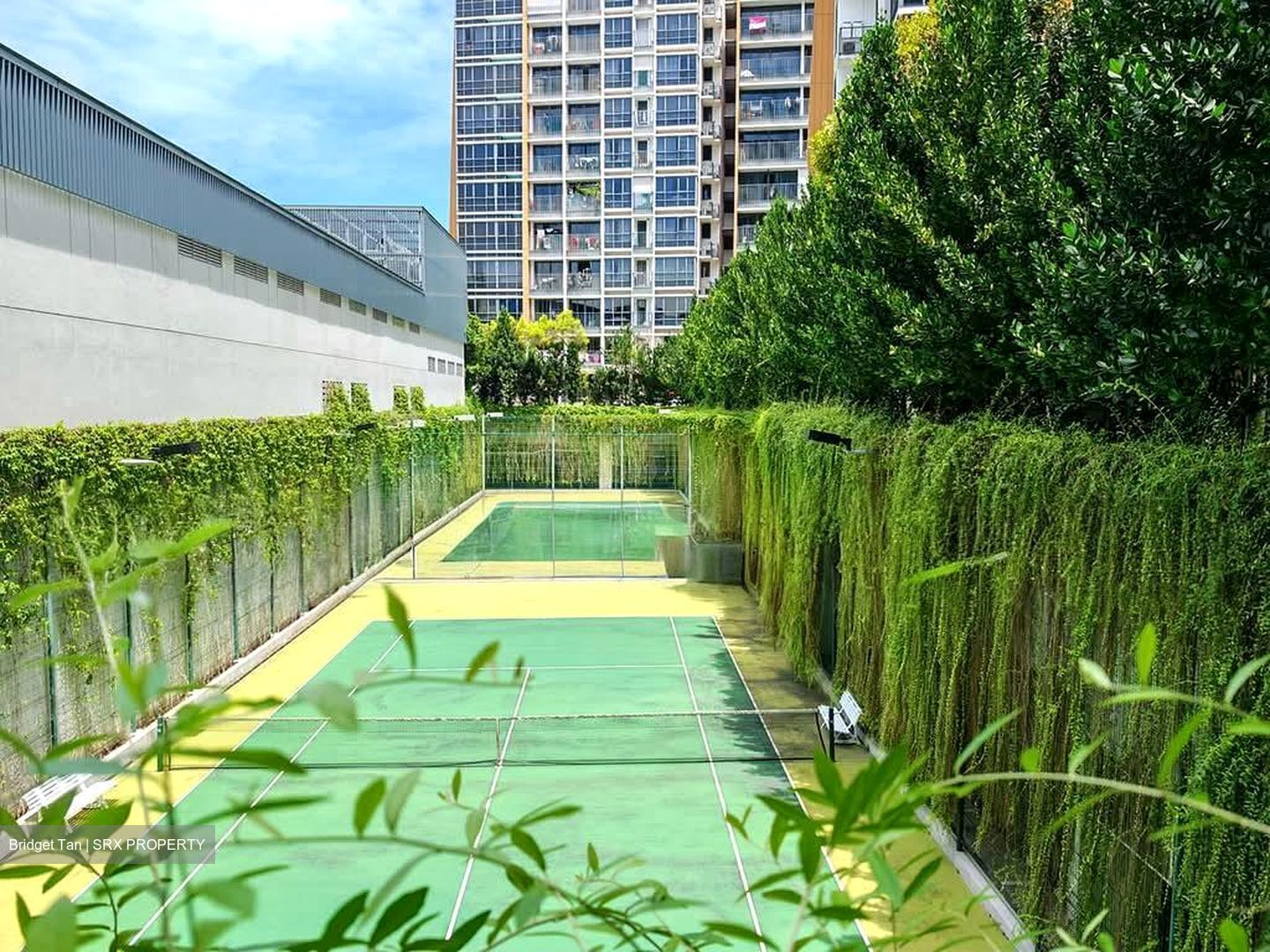 Coco Palms (D18), Condominium #585080841